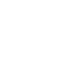 Digital: Web / Mobile / Réseaux Sociaux / Logiciels /Autres plateformes