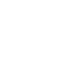 Formations Techniques Professionnelles : Audiovisuels / Web & Digital