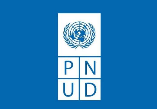 Pnud
